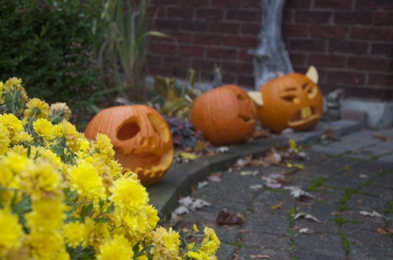 halloween photographs by Holly Land