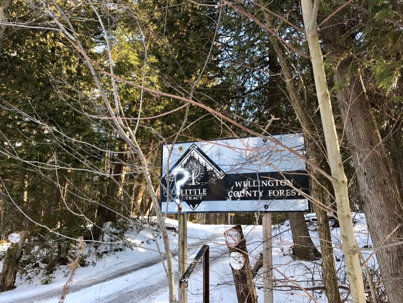 A great day for a hike in Puslinch, Ontario