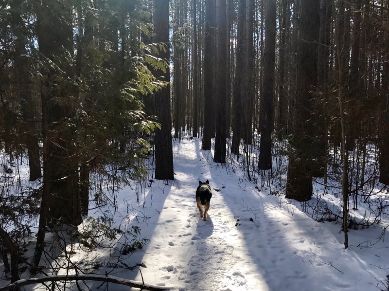 A great day for a hike in Puslinch, Ontario