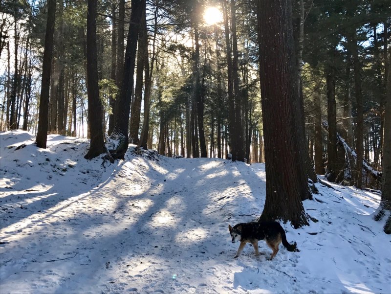 A great day for a hike in Puslinch, Ontario