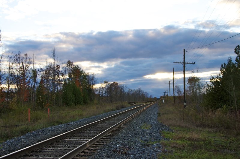 thanksgiving photo by holly land