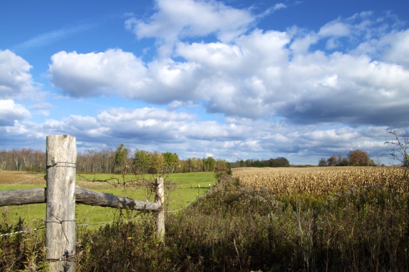 thanksgiving photo by holly land