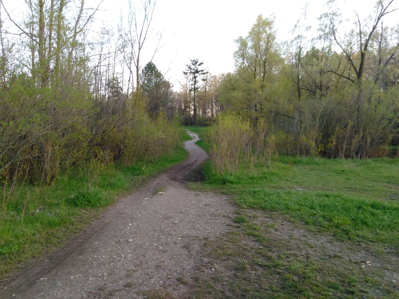 puslinch tract